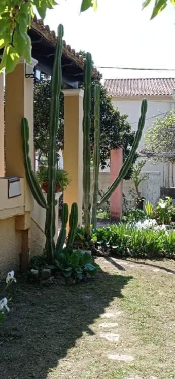 Roula'S House Villa Nymfai Exterior photo